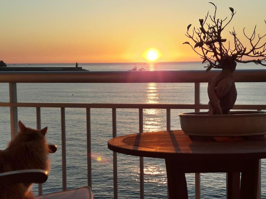 La Casa Del Port Apartment Javea Ngoại thất bức ảnh