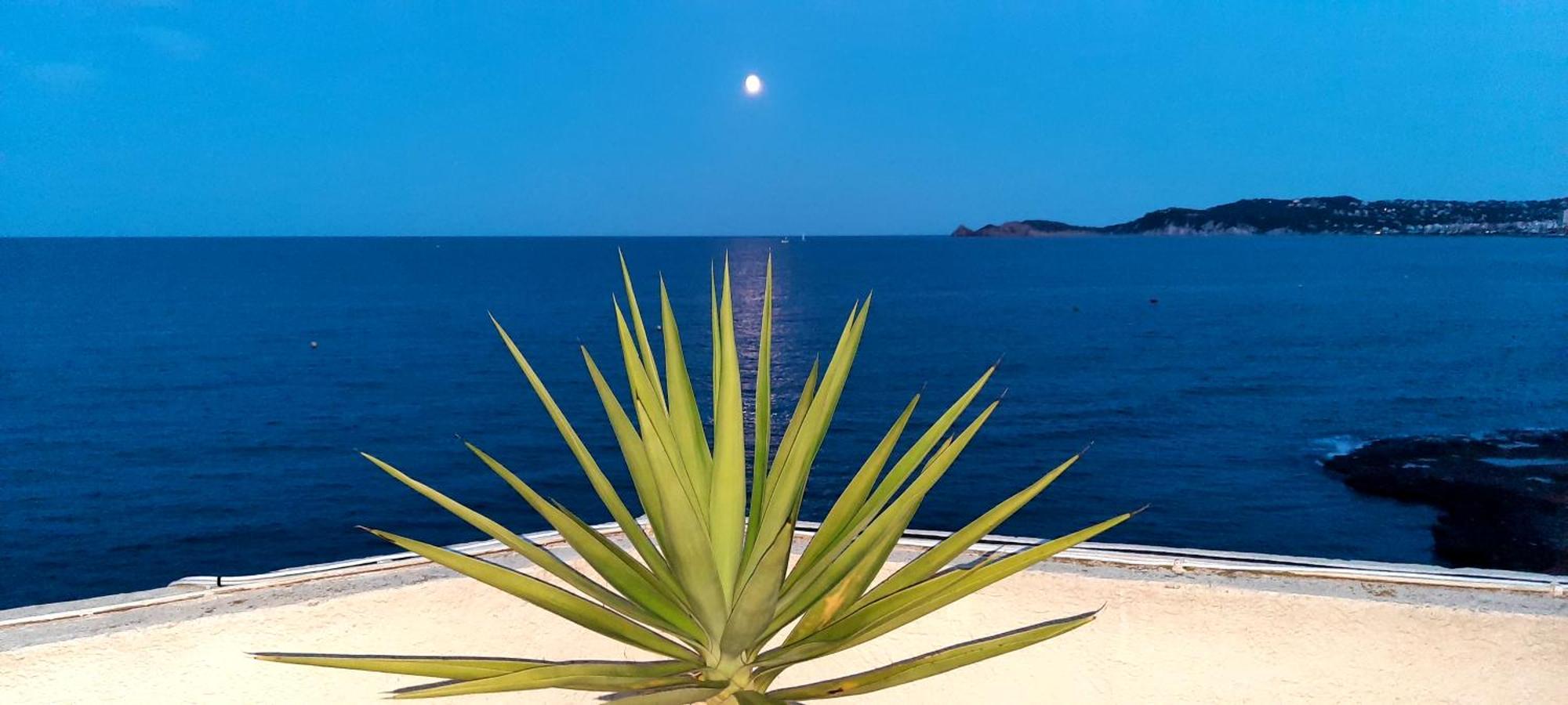 La Casa Del Port Apartment Javea Ngoại thất bức ảnh